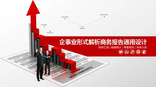 财务报告PPT模板 (17)