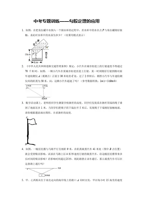【精编版】数学中考专题训练——勾股定理的应用