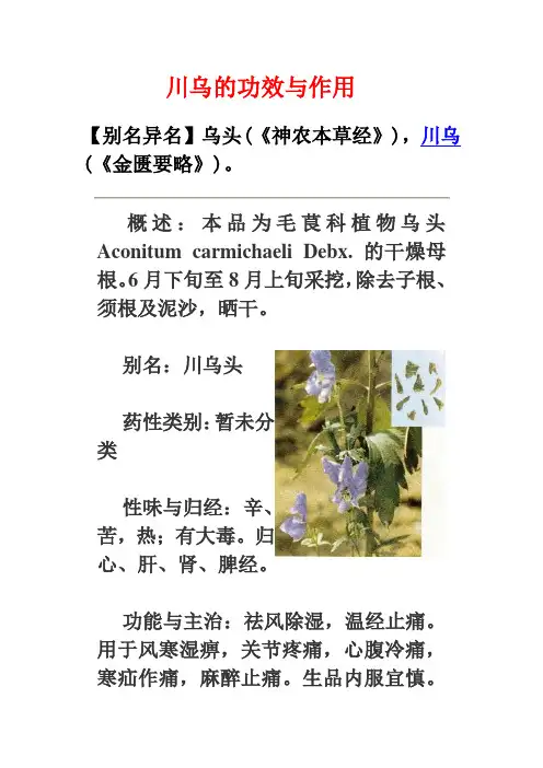 川乌