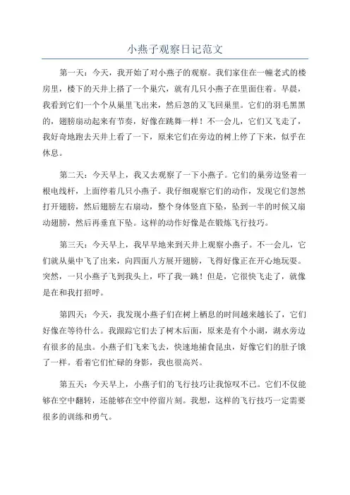 小燕子观察日记范文
