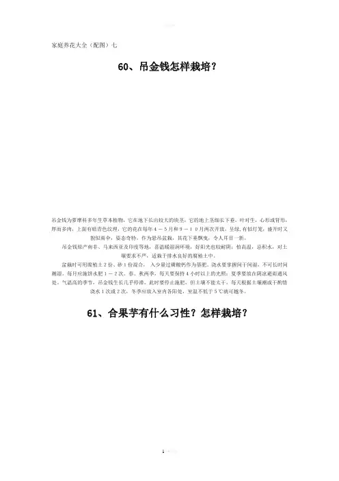 家庭养花大全(配图)七
