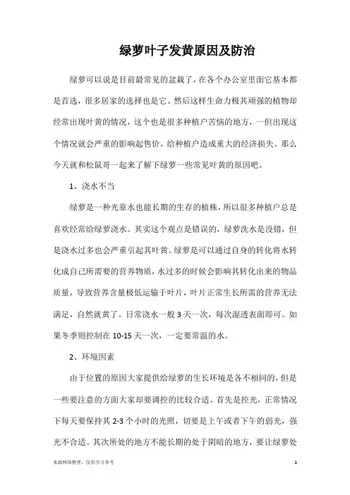 绿萝叶子发黄原因及防治