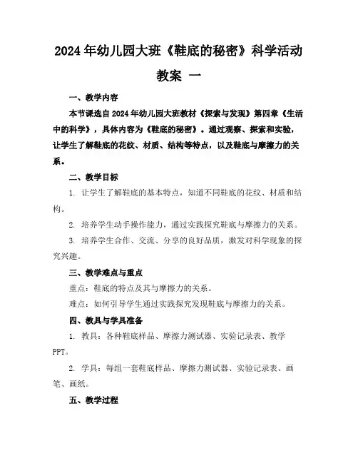 2024年幼儿园大班《鞋底的秘密》科学活动教案一