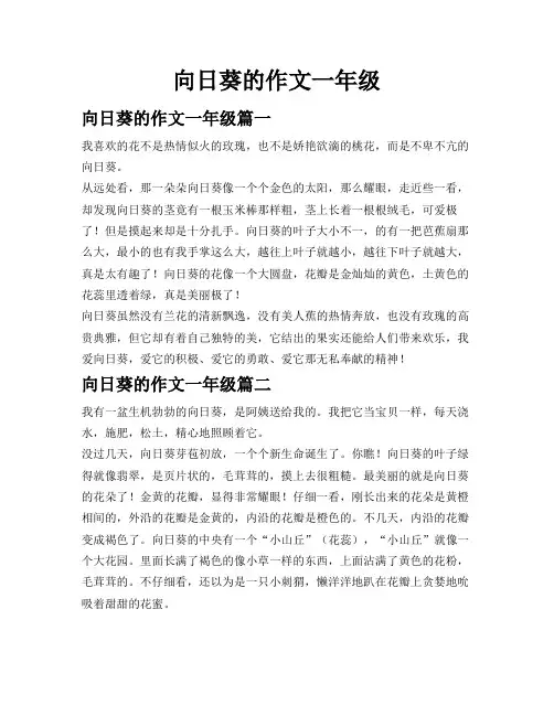 向日葵的作文一年级
