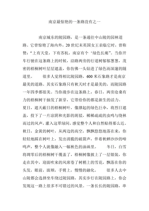 南京最惊艳的一条路没有之一