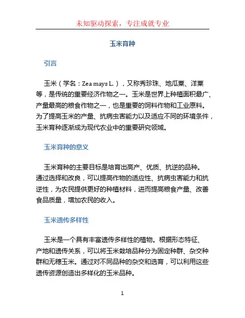 玉米育种文档
