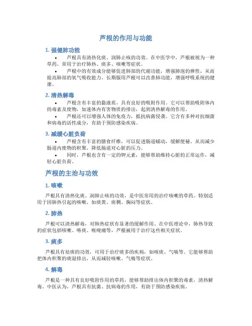 芦根的作用与功能主治与功效