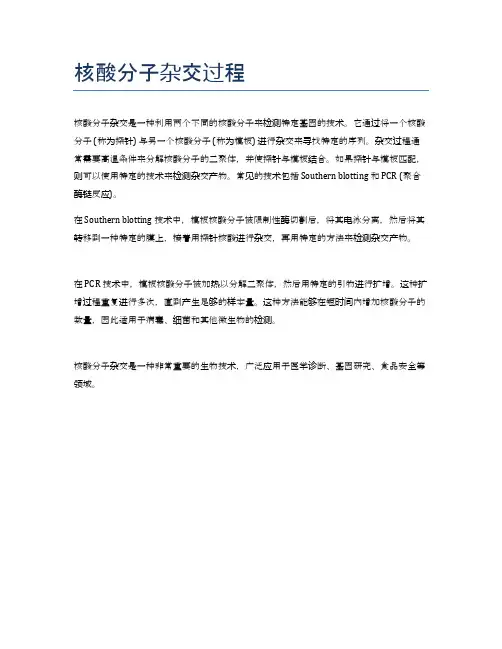 核酸分子杂交过程