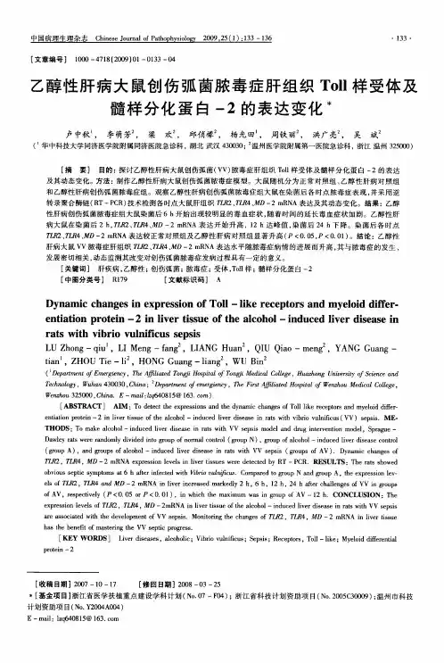 乙醇性肝病大鼠创伤弧菌脓毒症肝组织Toll样受体及髓样分化蛋白-2的表达变化
