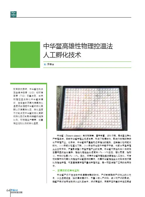 中华鳖高雄性物理控温法人工孵化技术