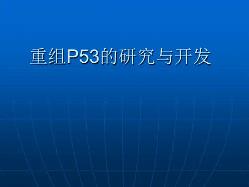 重组P53的研究与开发