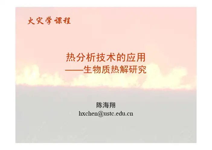 生物质热解研究