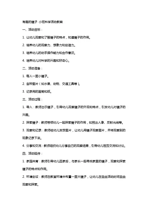 有趣的镜子小班科学活动教案