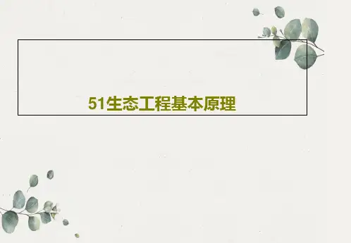 51生态工程基本原理48页PPT