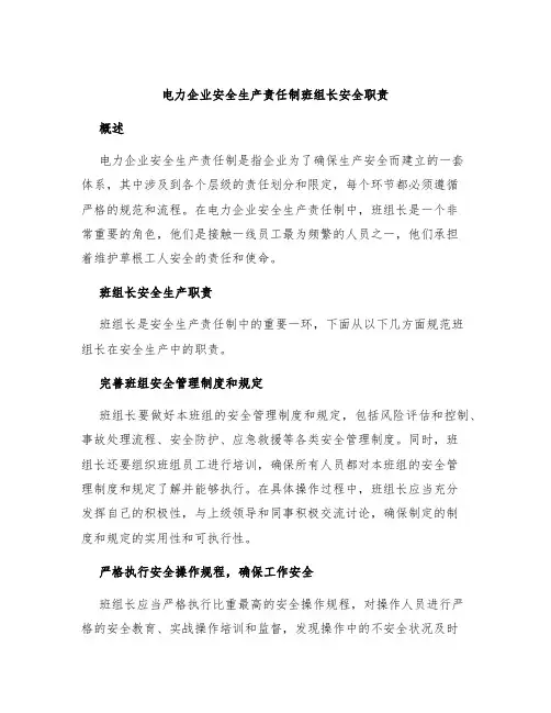电力企业安全生产责任制班组长安全职责