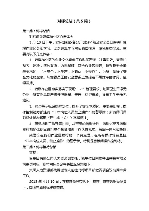 对标总结（共5篇）
