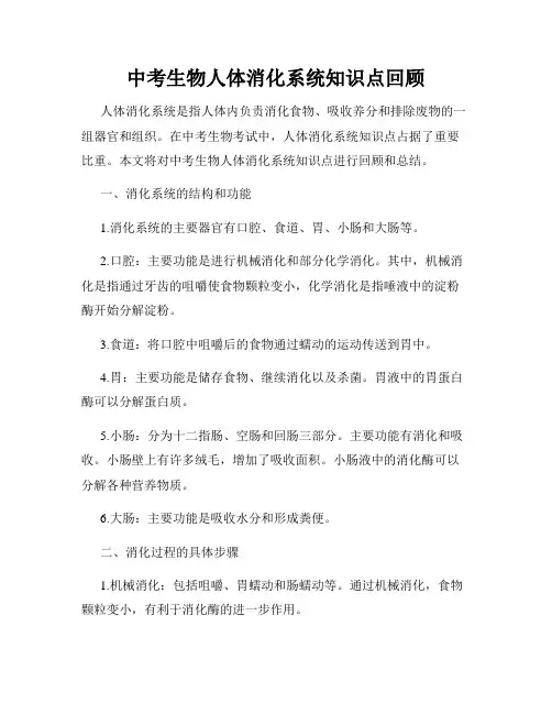 中考生物人体消化系统知识点回顾