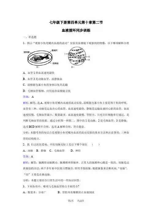 苏教版生物七年级下册10.2《人体的血液循环》word练习题