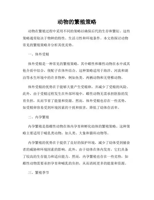 动物的繁殖策略
