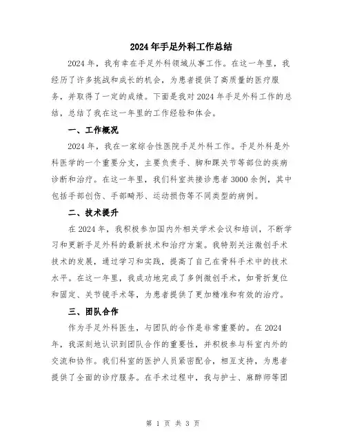 2024年手足外科工作总结
