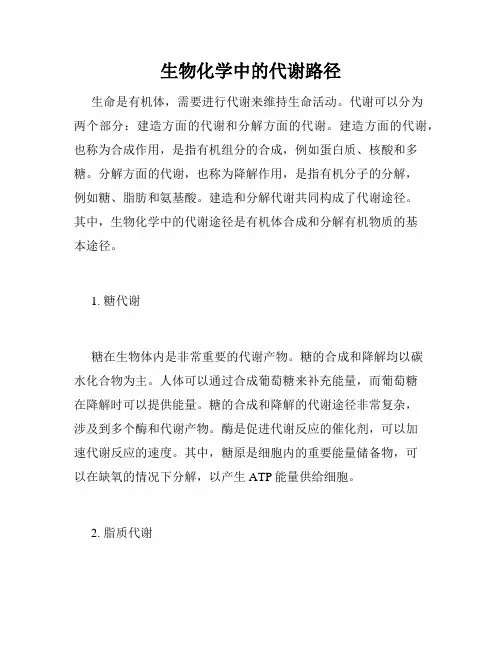 生物化学中的代谢路径