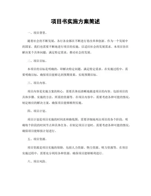 项目书实施方案简述