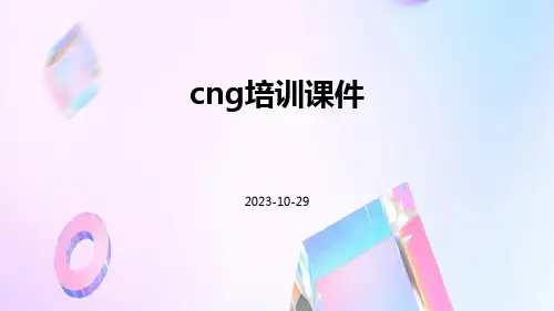CNG培训课件