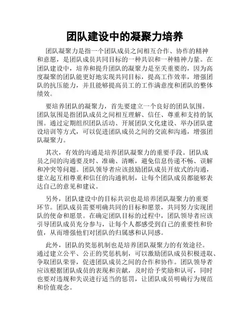 团队建设中的凝聚力培养