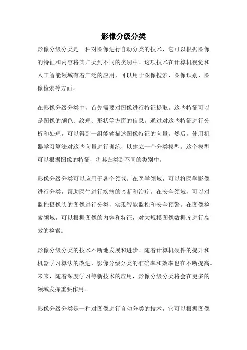 影像分级分类