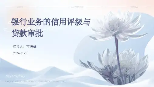 银行业务的信用评级与贷款审批