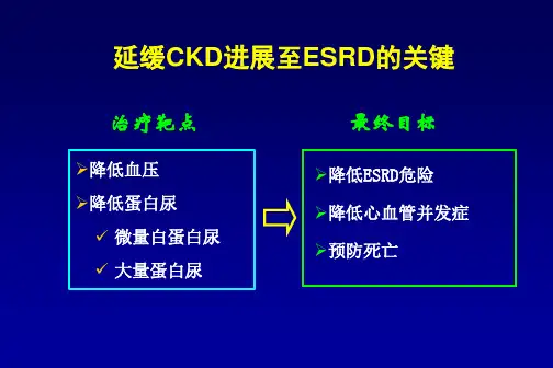 ARB在肾病中的应用培训课件