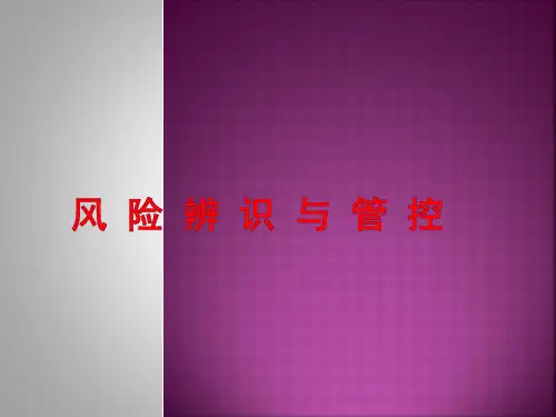 风 险 辨 识 与 管 控