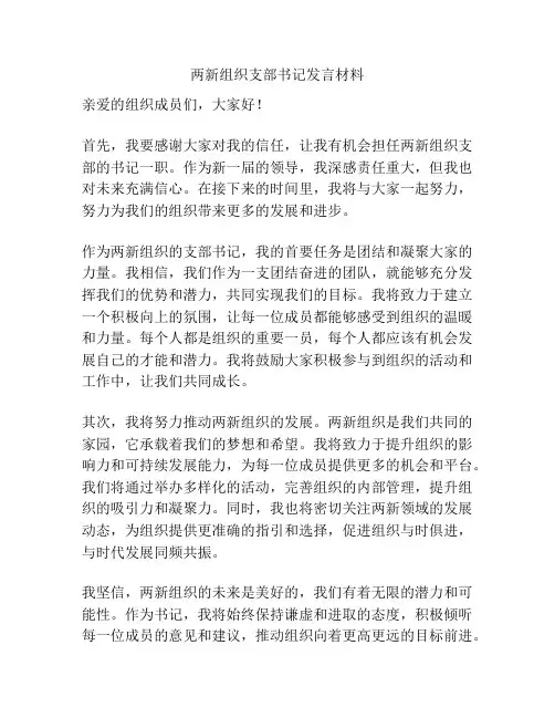两新组织支部书记发言材料