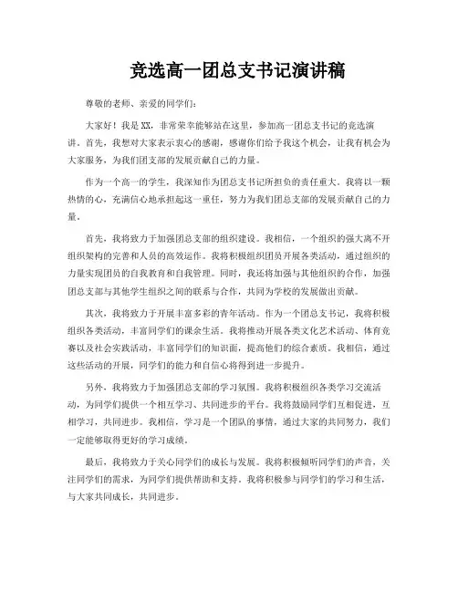 竞选高一团总支书记演讲稿