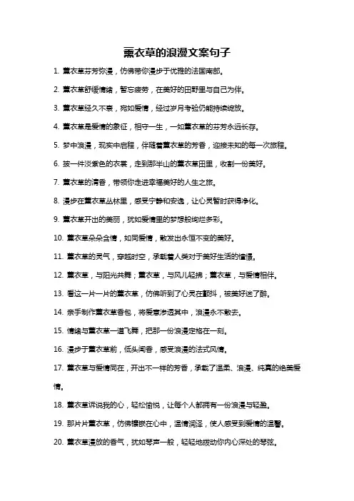 薰衣草的浪漫文案句子