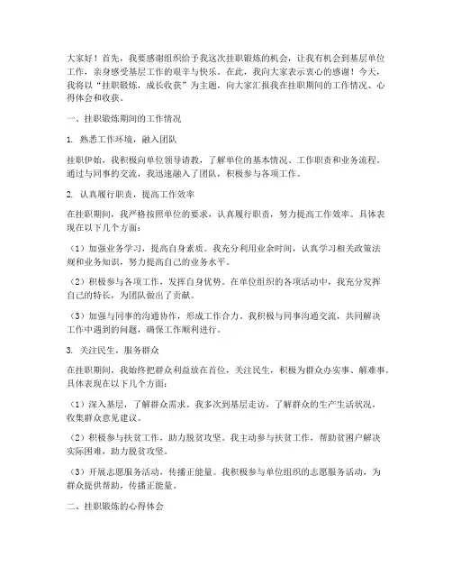 挂职工作总结会发言稿