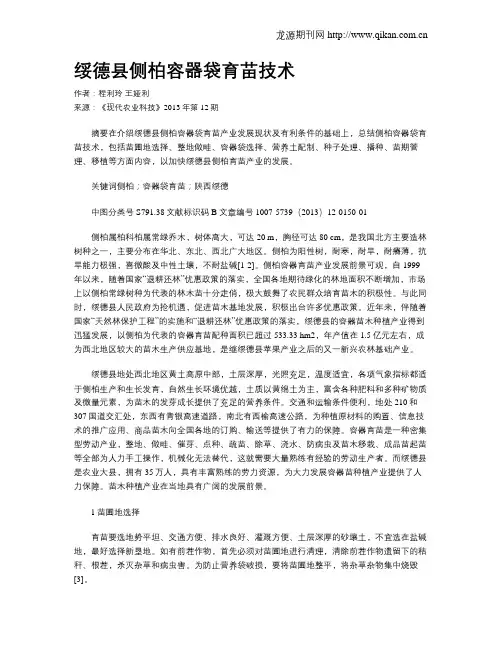 绥德县侧柏容器袋育苗技术
