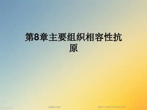 第8章主要组织相容性抗原
