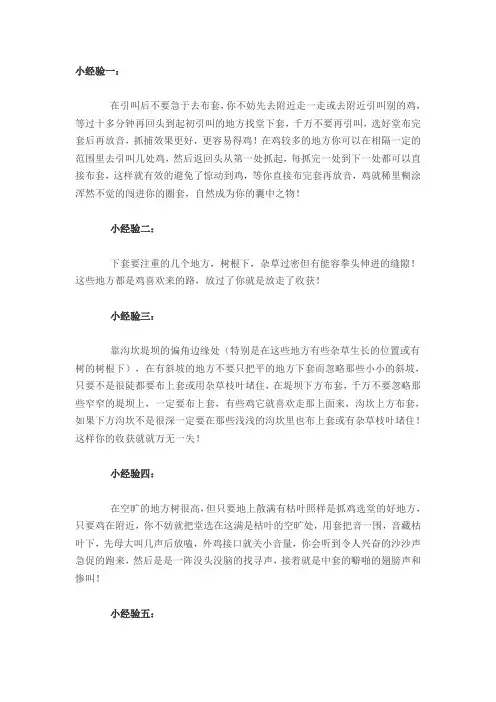 怎样抓竹鸡doc