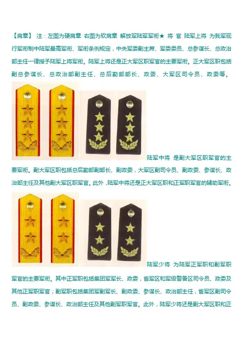 中国军衔、警衔、关衔图解