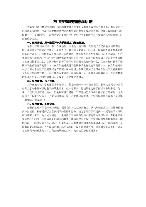 放飞梦想的翅膀观后感