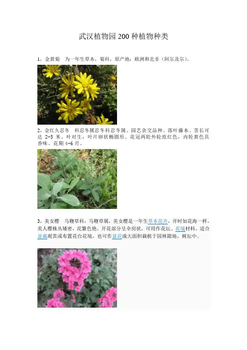 武汉植物园植物种类