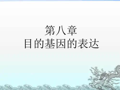 《目的基因的表达》PPT课件
