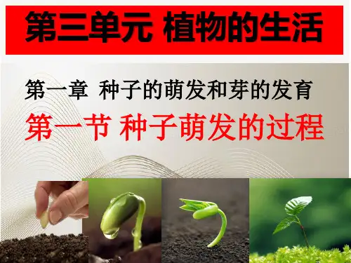 八年级上册生物第一节《种子萌发的过程》