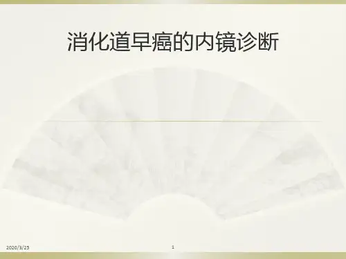 消化道早癌的诊断(课堂PPT)