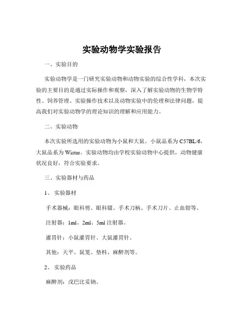 实验动物学实验报告