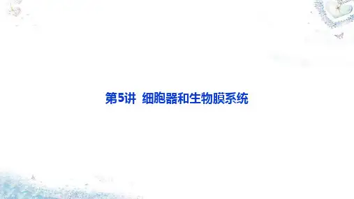 第5讲 细胞器和生物膜系统-考点三 细胞的生物膜系统