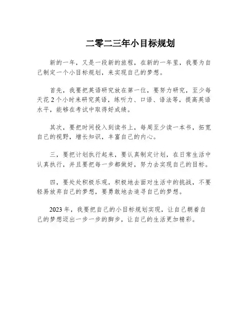 二零二三年小目标规划