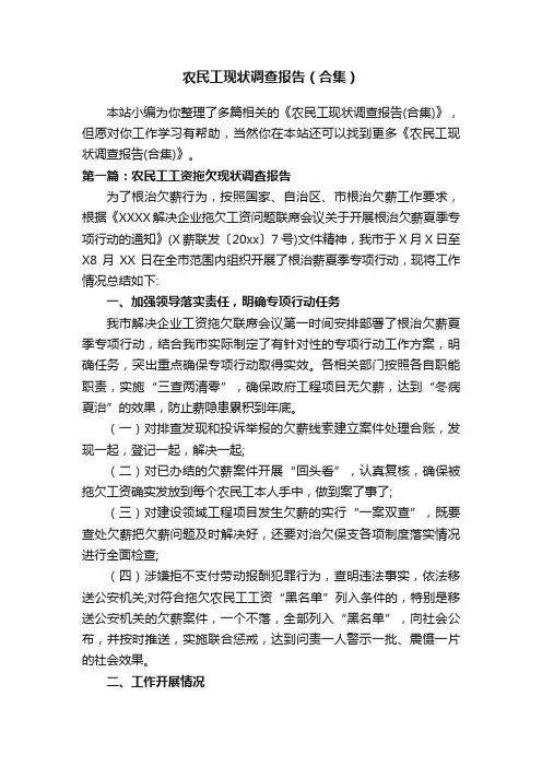 农民工现状调查报告（合集）