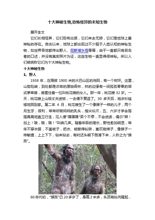 十大神秘生物,恐怖怪异的未知生物